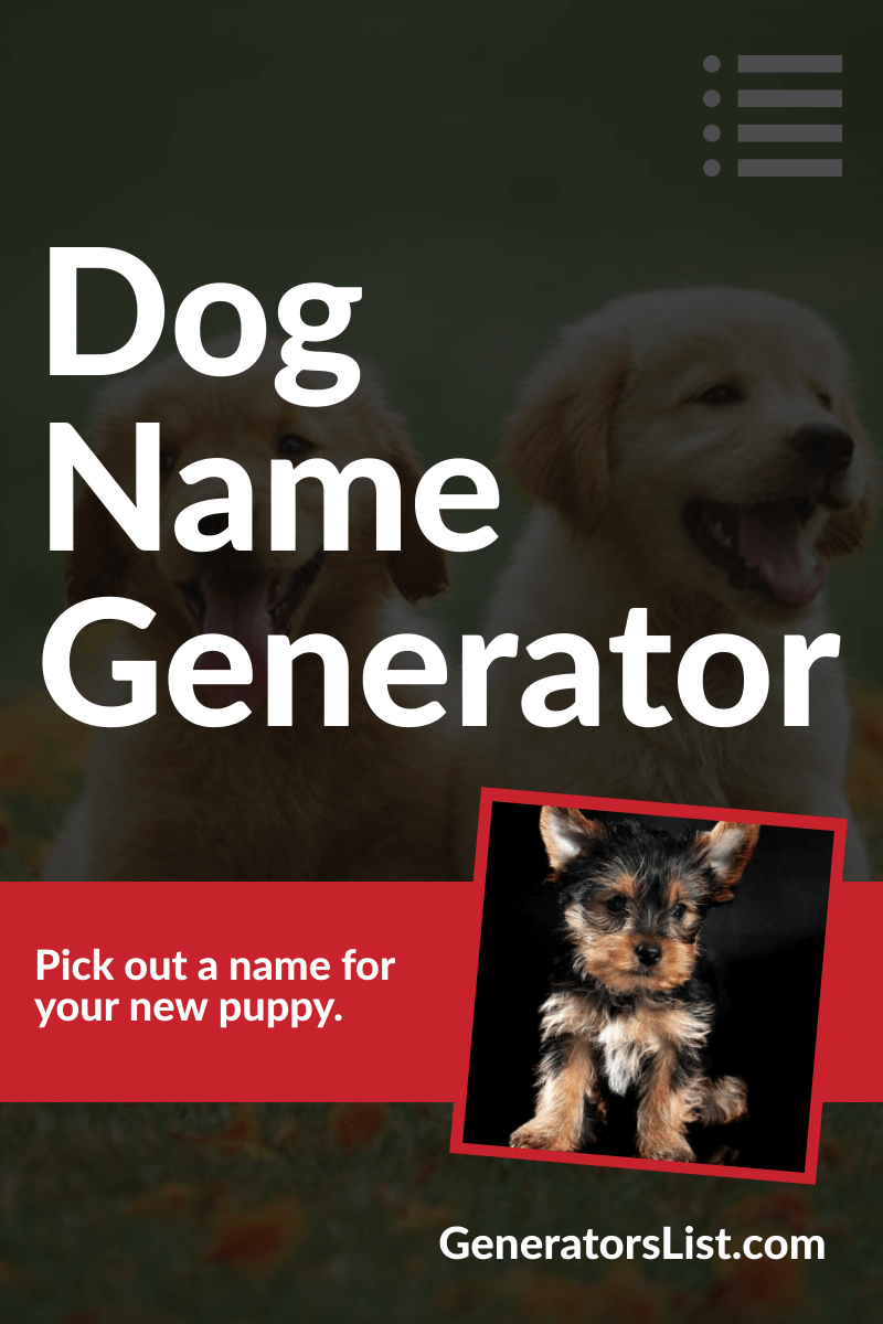 random number generator random number generator