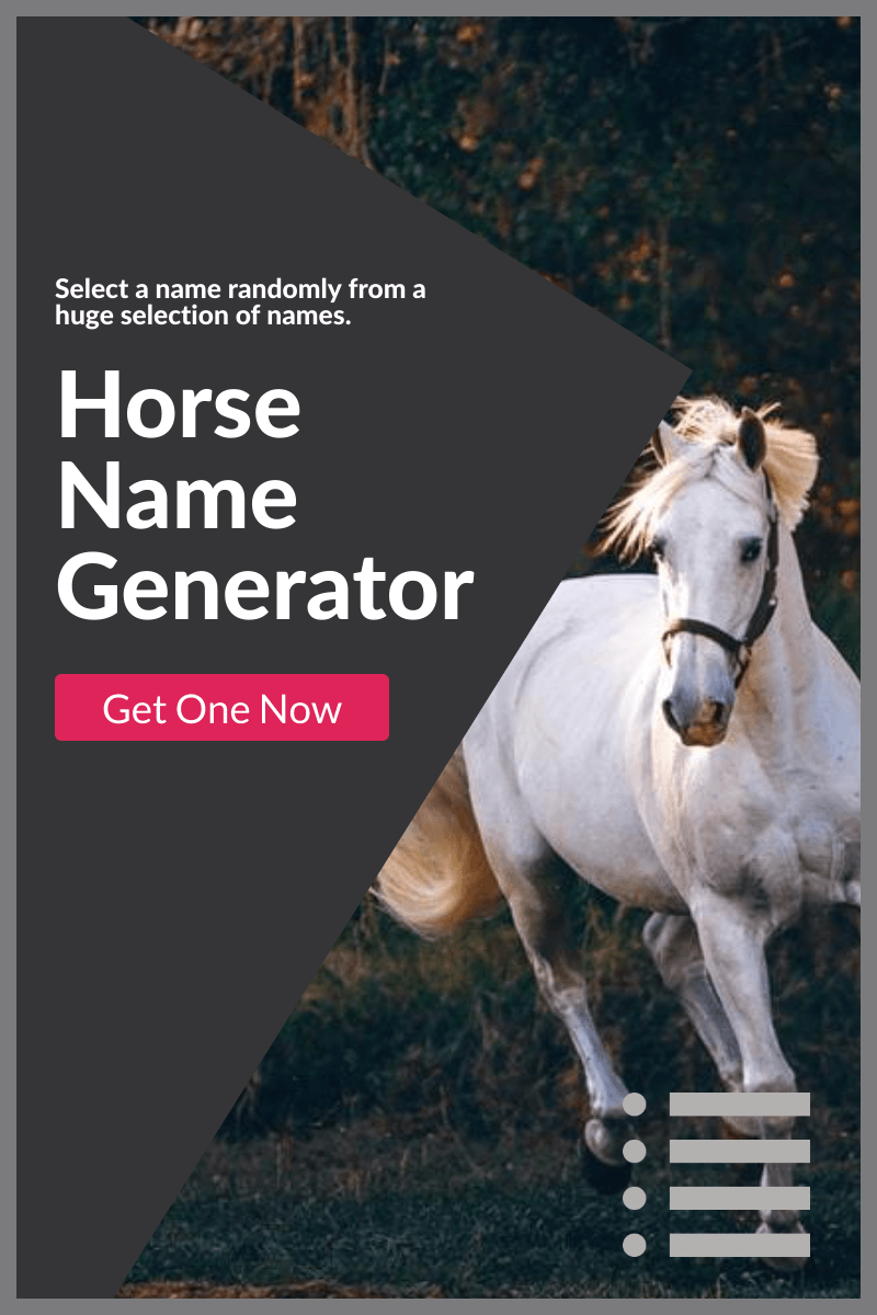 Horse Name Generator Generate Tons of Random Horse Names