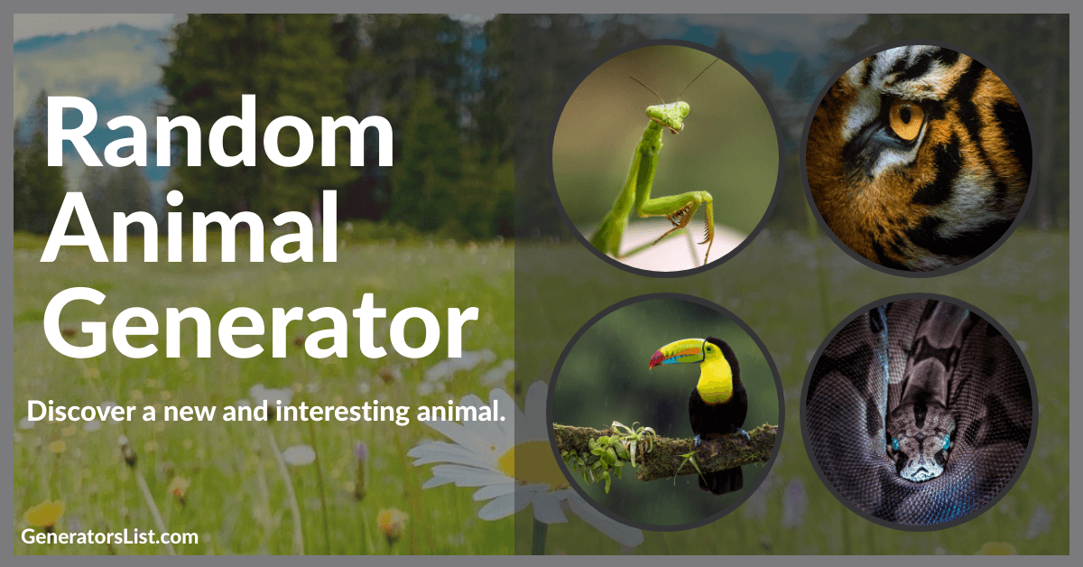 random animal generator play random animal generator play
